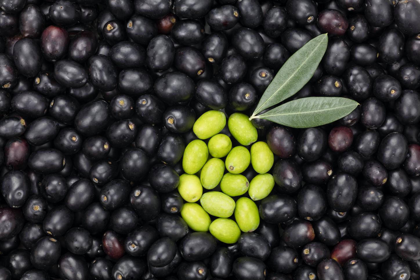 Arriva l’olio ad ultrasuoni: esperimenti in frantoio