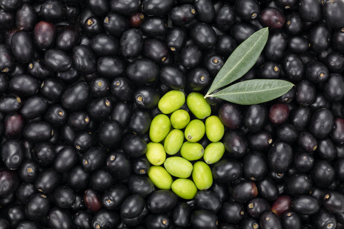Arriva l’olio ad ultrasuoni: esperimenti in frantoio