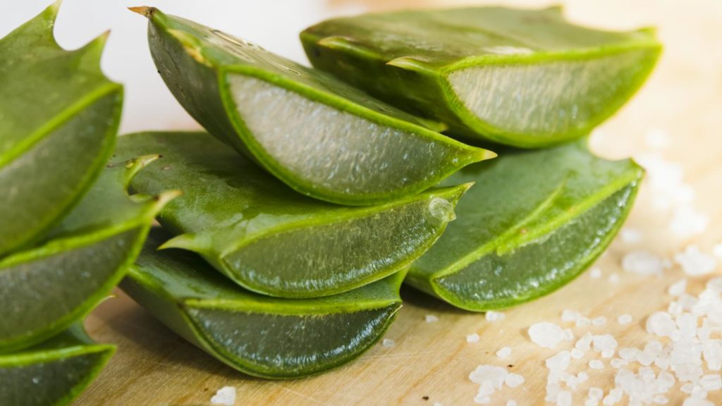 Benefici dell’aloe vera: tutte le proprietà